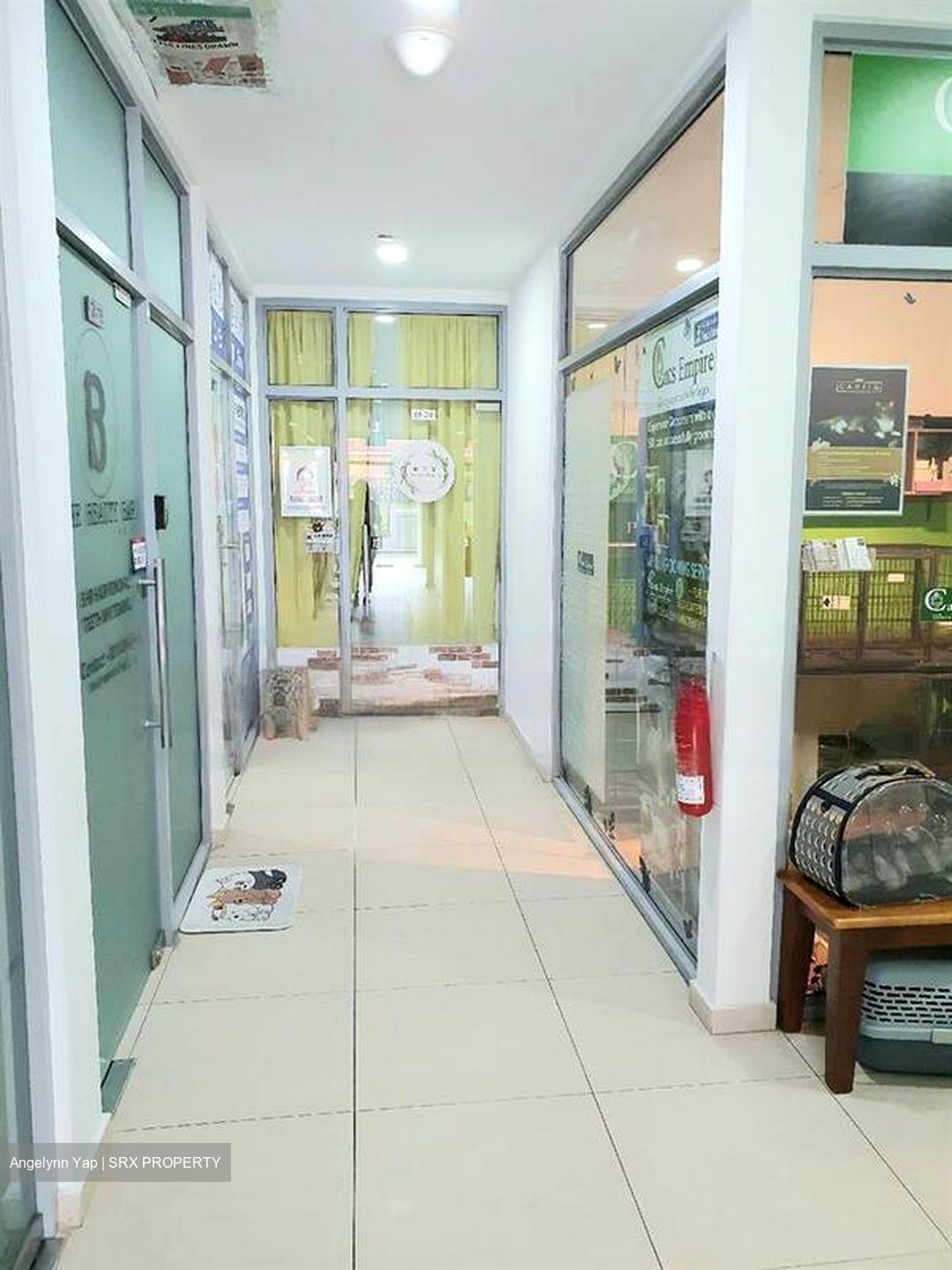 Suites @ Bukit Timah (D21), Shop House #466744081